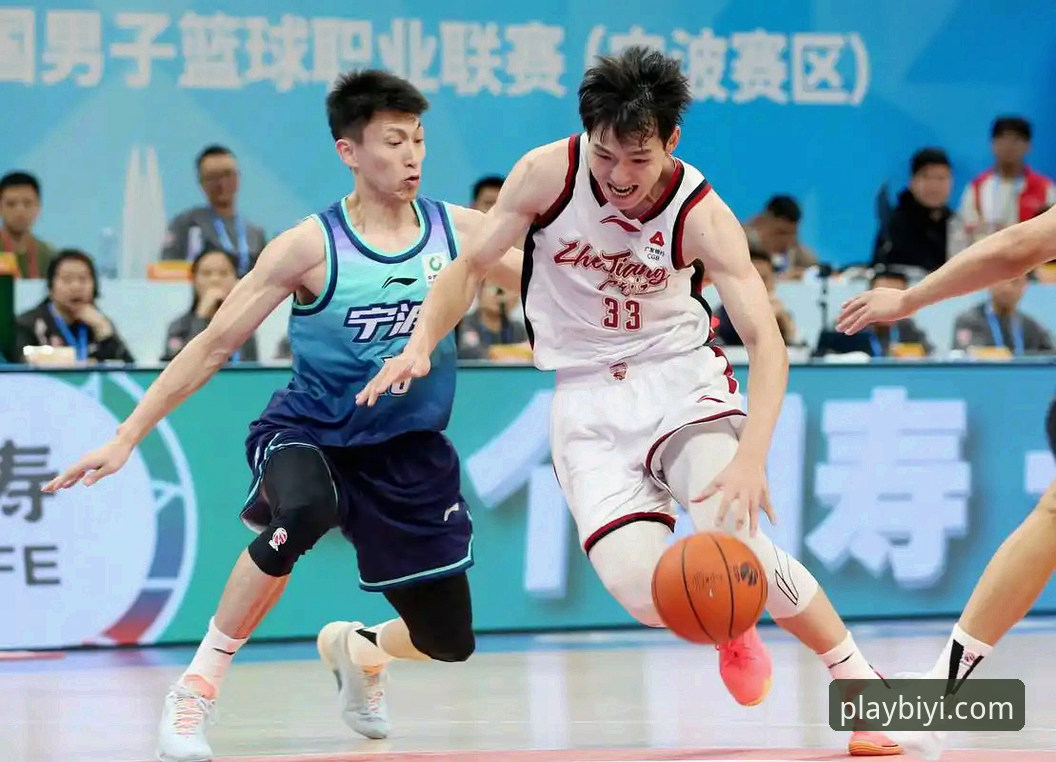 2026iOS必一体育安装教程 CBA季后赛观赛必备知识:从浙江逆转宁波看篮球数据分析实用技巧